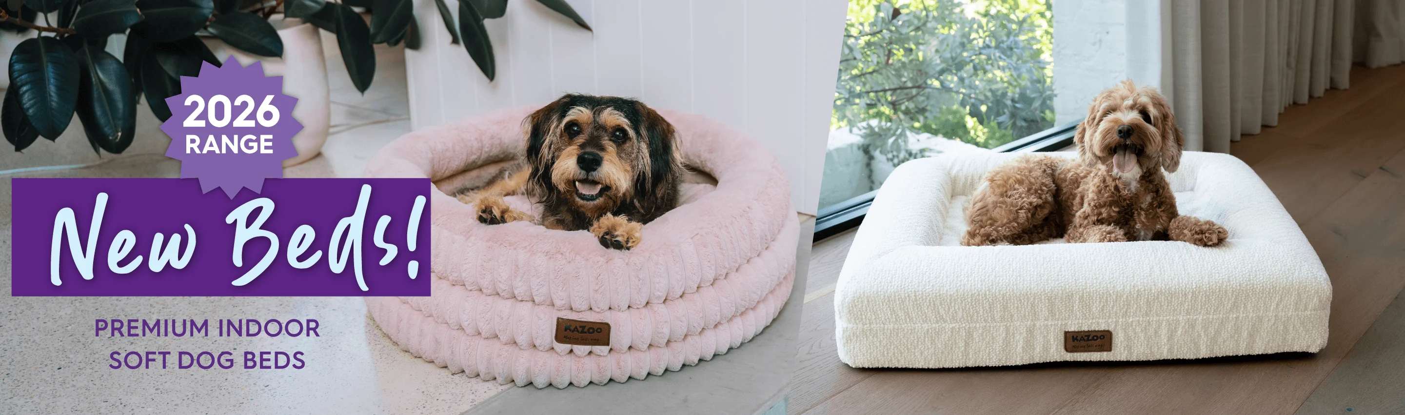 Style for Every Happy Tail